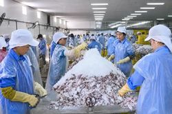 Hà Tĩnh tạo lực đẩy cho sản phẩm công nghiệp nông thôn