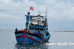 Gỡ 'thẻ vàng' IUU: Kiểm soát chặt thủy sản xuất khẩu sang EU
