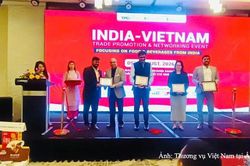 Doanh nghiệp Ấn Độ trực tiếp t&igrave;m kiếm cơ hội kinh doanh tại Việt Nam