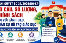 Sắp xếp trường học cấp tỉnh, cấp xã: Lãnh đạo dôi dư được bố trí thế nào?