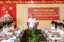 Chủ tịch UBND tỉnh Tô Anh Dũng làm việc với Sở Nông nghiệp và Môi trường