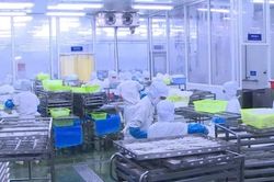 Xuất khẩu thủy sản Thanh Hóa duy trì đà tăng trưởng ổn định