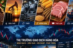 Nghị định 302/2026/NĐ-CP: Hoàn thiện khung pháp lý thị trường giao dịch hàng hóa
