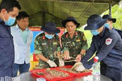 Tiếp nối hành trình tri ân
