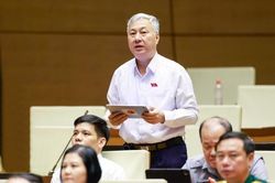 Đại biểu Trần Văn Lâm: Cần hài hòa giữa đưa lao động ra nước ngoài và nhân lực trong nước