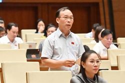 Đoàn đại biểu Quốc hội tỉnh Bắc Ninh tham gia góp ý 2 dự thảo Luật quan trọng