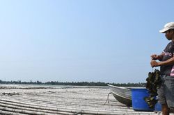Phát triển nông nghiệp xanh, tuần hoàn