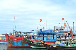 Tăng cường theo dõi, quản lý tàu cá không đủ điều kiện khai thác thủy sản