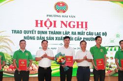 Hướng dẫn n&ocirc;ng d&acirc;n phường Hải V&acirc;n l&ecirc;n s&agrave;n, b&aacute;n h&agrave;ng bằng livestream