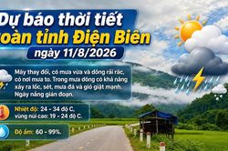Bản tin Dự b&aacute;o thời tiết ng&agrave;y 11/8/2026