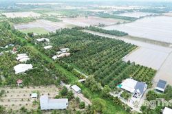 Nông nghiệp Đồng Tháp nỗ lực bứt tốc về đích