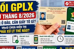 Đổi giấy phép lái xe tháng 8/2026: Làm ở đâu, cần giấy tờ gì?
