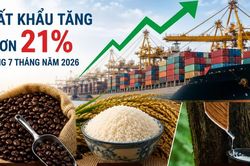 Xuất khẩu tăng hơn 21%, những mặt hàng nào đang đi ngược dòng?