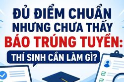 Infographic Đủ điểm chuẩn nhưng chưa thấy báo trúng tuyển: Thí sinh cần làm gì?