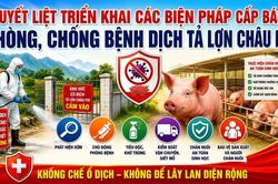 Quyết liệt triển khai các biện pháp cấp bách phòng, chống bệnh Dịch tả lợn Châu Phi