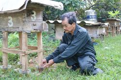 Vượt lên di chứng da cam