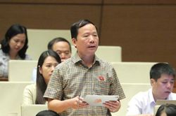 Đại biểu Quốc hội tỉnh góp ý một số dự án luật