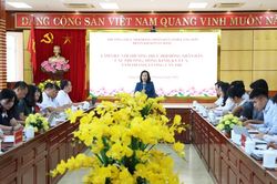 Thường trực HĐND tỉnh làm việc với HĐND các phường