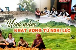 “Ươm mầm” khát vọng từ nghị lực