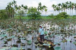 Sức sống mới từ lòng dân đồng thuận