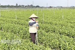 Xây dựng nông thôn mới hướng đến nâng cao chất lượng, hiện đại và bền vững