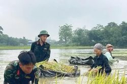 Đối thoại bất đối xứng