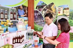 Ngọt thơm mật ong rừng Thanh Thủy