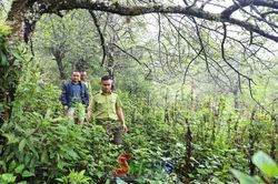 Sử dụng hiệu quả tiền dịch vụ môi trường rừng