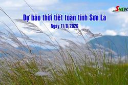 Dự báo thời tiết toàn tỉnh Sơn La ngày 11/8/2026