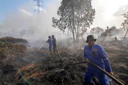 Indonesia ứng phó cháy rừng tại hai núi lửa Bromo và Gede