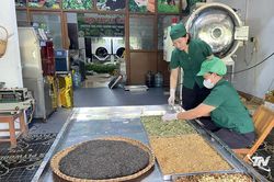 Cao trà - Nét mới của trà Thái Nguyên