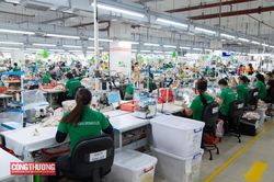 Gia Lai: Mục tiêu tổng kim ngạch xuất khẩu giai đoạn 2026-2030 đạt trên 17 tỷ USD Gia Lai: Mục tiêu tổng kim ngạch xuất khẩu giai đoạn 2026-2030 đạt trên 17 tỷ USD