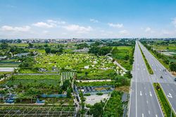 Đừng để nghĩa trang làng bị bỏ lại phía sau đô thị hóa