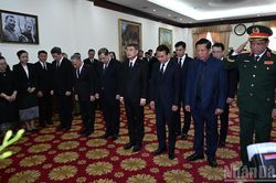 Đoàn Chính phủ Việt Nam viếng Chủ tịch Quốc hội Lào Saysomphone Phomvihane