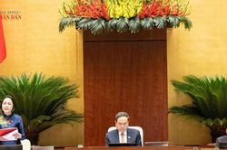 Bảo đảm c&acirc;n đối với nhu cầu nh&acirc;n lực chất lượng cao trong nước