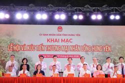 Lan tỏa giá trị, mở rộng thị trường cho nhãn lồng Hưng Yên