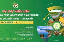 Hội chợ c&ocirc;ng nghiệp n&ocirc;ng th&ocirc;n miền Trung - T&acirc;y Nguy&ecirc;n 2026 diễn ra tại H&agrave; Tĩnh