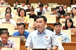 Hòa giải ở cơ sở phải có công cụ nhận diện và 'điểm dừng pháp lý' rõ ràng