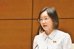 Bảo đảm bồi thường kịp thời, đầy đủ, s&aacute;t thực tế thiệt hại