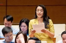 Làm rõ giới hạn áp dụng luật chuyên ngành trong bồi thường nhà nước