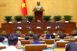 Kết nối th&ocirc;ng tin người lao động sau khi về nước, c&acirc;n đối nhu cầu nh&acirc;n lực trong nước