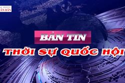 Bản tin Thời sự Quốc hội ng&agrave;y 10/8/2026