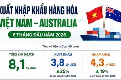 Kim ngạch xuất nhập khẩu Việt Nam - Australia tăng tốc, c&aacute;n mốc 8 tỷ USD