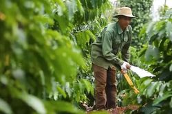 Nghị quyết 10: Tăng li&ecirc;n kết doanh nghiệp FDI - doanh nghiệp Việt