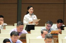 Đại biểu Quốc hội đề xuất 'lằn ranh đỏ' trong hòa giải để bảo vệ phụ nữ, trẻ em
