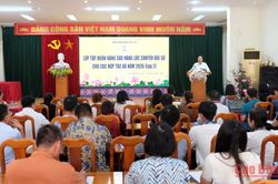 Nâng cao năng lực chuyển đổi số và kiến thức pháp luật cho các hợp tác xã