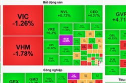 Chứng khoán trưa 10/8: BCM tăng trần, GAS - GVR kéo VN-Index tiến sát 1.780 điểm