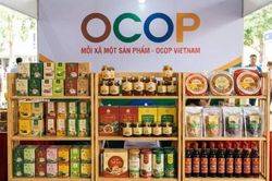 Thành lập Hội đồng đánh giá, phân hạng sản phẩm OCOP cấp trung ương