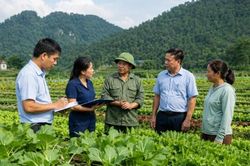 Tuyên Quang đề nghị lựa chọn, đề cử điển hình tiên tiến phát triển nông nghiệp hữu cơ