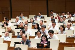 Kh&ocirc;ng sử dụng h&ograve;a giải đối với c&aacute;c vụ việc bạo lực gia đ&igrave;nh, x&acirc;m hại trẻ em
